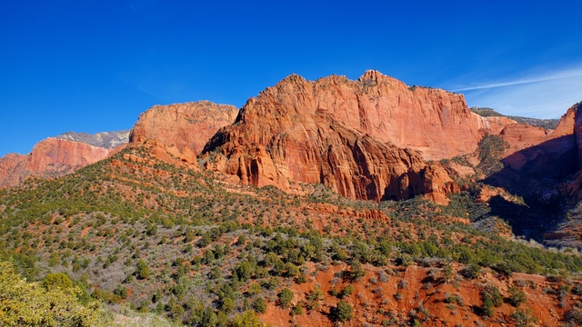 Zion 2022